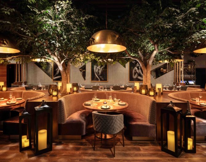 Restaurant & Bar