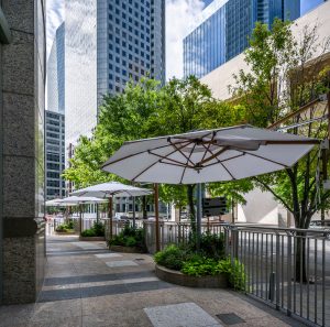 lobby renovation terrace landscape