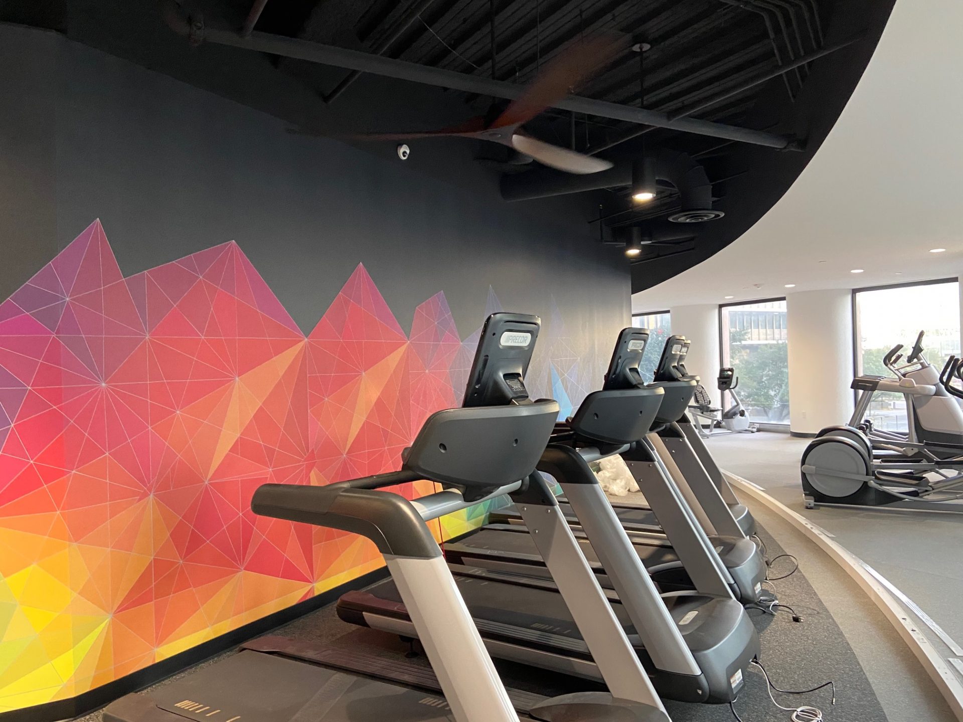 Houston Architecture Building Repositioning 1415 LOUISIANA FITNESS CENTER Houston Corporate Interior Design Cardio Machines Colorful Wall Graphics