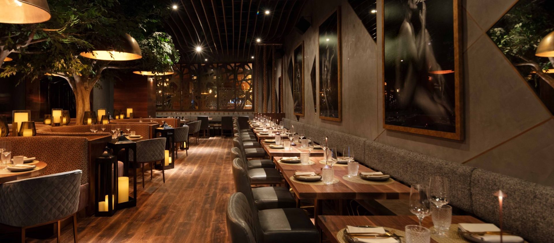 A Sensory Dining Experience Rooted in Atmosphere and Detail